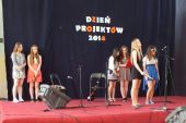 2014_Dzień projektów-14